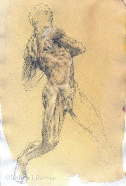 Robert Liberace, ecorche man, three-color-chalk Robert Liberace, Bodies Exhibit, Leg Anatomy, Gross Anatomy, Figure Drawings, Figure Study, Toned Paper, Anatomy Drawing, Male Figure