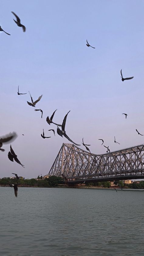 Howrah bridge
Howrah
Kolkata
Bridge Howrah Bridge Aesthetic, Kolkata Asthetic Pic, North Kolkata Aesthetic Photography, Kolkata Aesthetic Wallpaper, Howrah Bridge Kolkata Photography, Kolkata Aesthetic Video, Kolkata Aesthetic Photography, Kolkata Architecture, Kolkata Snap