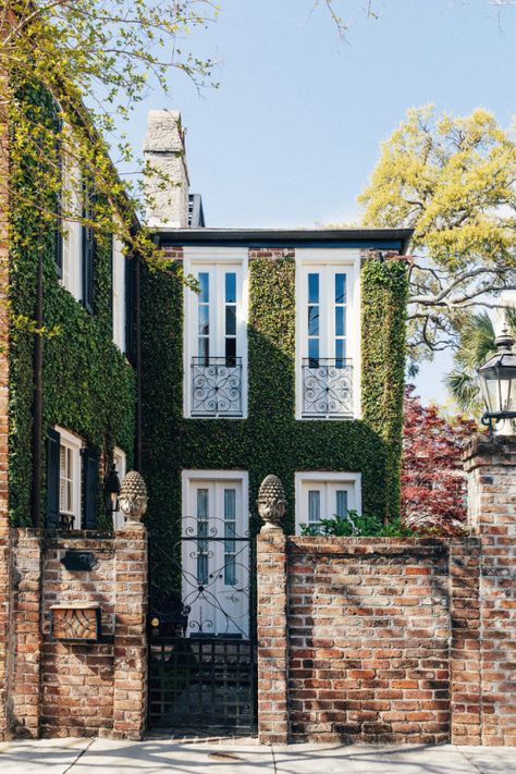 I love this photo, especially the brick entrance walls topped with pineapple finials. The ironwork is lovely too as is the ivy on the townho... Old Brick House, Ivy House, Architecture Exterior, Exterior House, House Goals, Brick House, Beautiful Buildings, House Inspiration, Future House