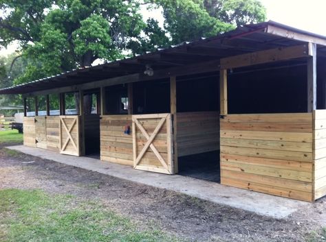 Shedrow Horse Barn, Simple Horse Barns, Horse Stables Design, Small Horse Barns, Horse Shed, Horse Farm Ideas, Horse Paddock, Diy Horse Barn, Horse Barn Ideas Stables