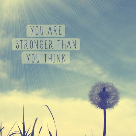 You Are Stronger, Inspirational Quotes Wallpapers, A Dandelion, Motivational Quotes Wallpaper, Stronger Than You Think, Best Inspirational Quotes, Trik Fotografi, You Are Strong, Stronger Than You