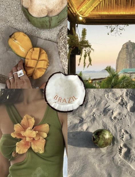 Brazil Mood Board, Tropical Aesthetic Wallpaper, Coconut Core, Brazil Core, Layout Aesthetic, Travel Luxury, Shotting Photo, Aesthetic Autumn, Instagram Feed Inspiration