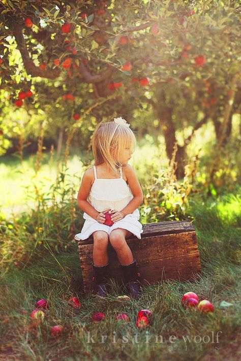 Family Pictures Apple Orchard, Apple Orchards Photography, Apple Picking Family Photos, Apple Orchard Family Photos, Apple Farm Photoshoot, Apple Orchard Photoshoot Family, Fall Toddler Photoshoot, Apple Picking Photography, Apple Orchard Family Pictures