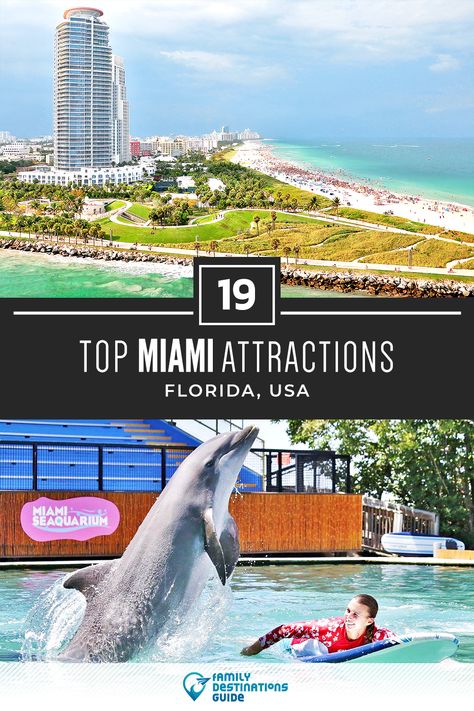 Want to see the best tourist attractions in Miami, Florida? We’re FamilyDestinationsGuide, and we’re here to help: From famous attractions to unique tourist spots and sites, discover the TOP Miami attractions - so you get memories that last a lifetime! #miami #miamiattractions #topmiamiattractions #miamitouristattractions #attractionsinmiami Miami Tourist Attractions, Miami Attractions, Miami Trip, Usa Miami, Tourist Spots, Trip Ideas, Beautiful Places To Travel, Miami Florida, Miami Fl