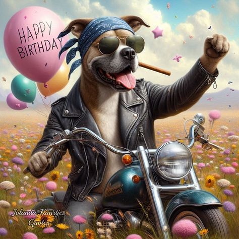 Motorcycle Birthday Wishes, Happy Birthday Biker, Motorcycle Birthday, Birthday Greetings, Birthday Wishes, Happy Birthday, Holidays, Birthday