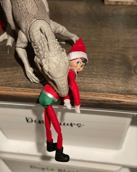 Dinosaur Elf On The Shelf Ideas, Elf On The Shelf Dinosaur Ideas, Elf On The Shelf Dinosaur, Dinosaur Ideas, Bad Elf, Elf Ideas, Elf On The Shelf Ideas, A Dinosaur, Easy Christmas Diy