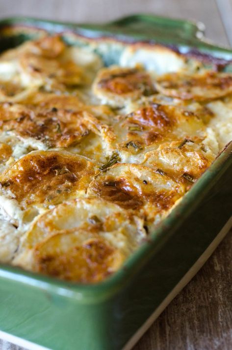 Pioneer Woman Mashed Potatoes, Cheese Scalloped Potatoes, Creamy Scalloped Potatoes, Spring Dishes, Yummy Dishes, Goat Cheese Recipes, Scalloped Potato Recipes, Cheese Potatoes, Cheese Balls