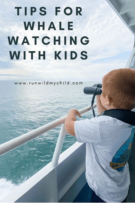 Tips for whale watching with kids - Everything you need to go to make your whale watching trip with kids successful, from when/where to go, what you'll see, what to pack, when to book your tickets, tips for spotting whales and more! #whalewatching #whalewatch #whalewatchingcruise #capecod #capecodoutdooractivities #whalecurises #whaleexcursions #whalebooksforkids #whalefacts #whaleadventures #runwildmychild What To Wear Whale Watching Outfit, Whale Facts For Kids, Whale Watching Outfit, Types Of Whales, Whale Facts, Whale Watching Cruise, Whale Species, Flying Dog, Tips For Parents