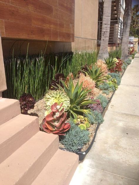 Succulent Garden Outdoor, Succulent Garden Landscape, Kaktus Dan Sukulen, Succulent Landscape Design, Succulent Garden Indoor, Succulent Garden Design, Succulent Landscaping, Plants Growing, Succulent Gardening