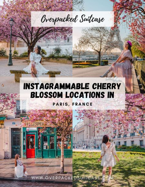 Trip to Paris with the Eurostar in the spring – Overpacked Suitcase France In Spring, France In April, March In Paris, Paris In March, Paris In April, Beautiful Paris, Instagram Famous, Trip To Paris, Ways To Travel