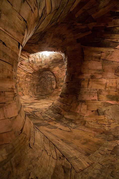 Henrique Oliveira uses repurposed wood to build giant root-like tunnels you can explore from the inside! On display at the Museu de Arte Contemporanea da Universidade in Sao Paulo through the end of November 2014. http://www.boredpanda.com/root-system-tunnel-transarquitetonica-henrique-oliveira/ Brown Things, Repurposed Wood, Forest Garden, Tree Roots, Art Installation, Gothic Architecture, Wooden Art, Land Art, Labyrinth