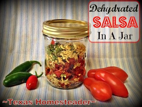 Dehydrated Salsa, Salsa Jar, Dehydrated Vegetables, How To Make Salsa, Dehydrated Onions, Canning Diced Tomatoes, Homemade Salsa, Dehydrated Food, Meals In A Jar