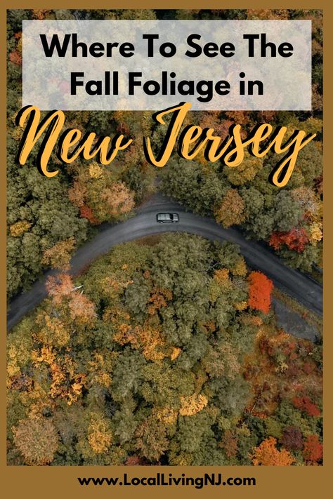 Discover New Jersey’s Best Fall Foliage Spots: Ultimate Guide Jersey Day, Leaf Peeping, Fun Fall Activities, Garden State, South Jersey, Travel Locations, Autumn Activities, Fall Foliage, Fall Fun