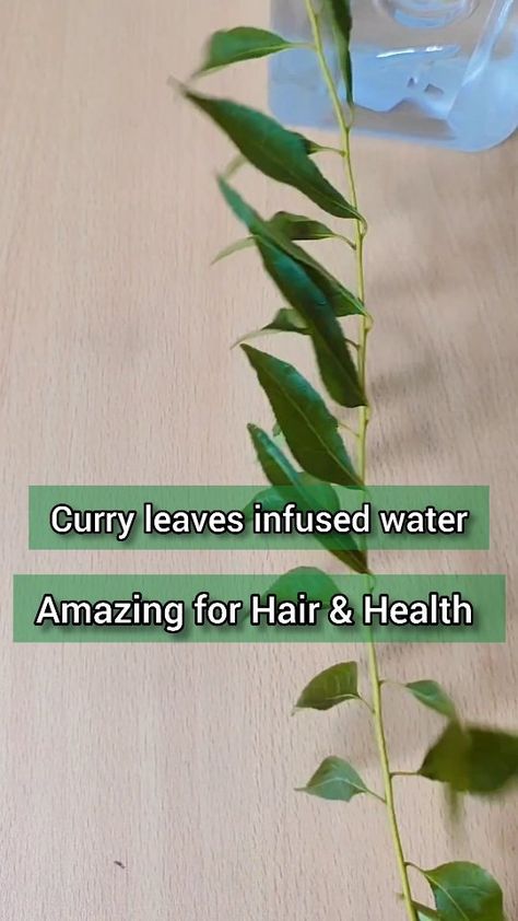 Dandruff Hair, Hair Care Recipes, Hair Thinning, Hair Volume, Hair Solutions, Beta Carotene, Hair Problems, Curry Leaves, Infused Water