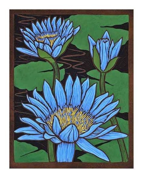 Rachel Newling, Camping Drawings, Acrylic Carving, Wildlife Landscape, Flower Wallet, Lino Cuts, Woodcut Art, Bird Paintings, Australian Native Flowers