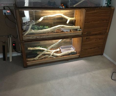 Boa Constrictor Enclosure Diy, Boa Enclosure Ideas, Diy Snake Enclosure, Boa Constrictor Enclosure, Boa Enclosure, Python Tank, Snake Habitat, Snake Cage, Vivarium Ideas