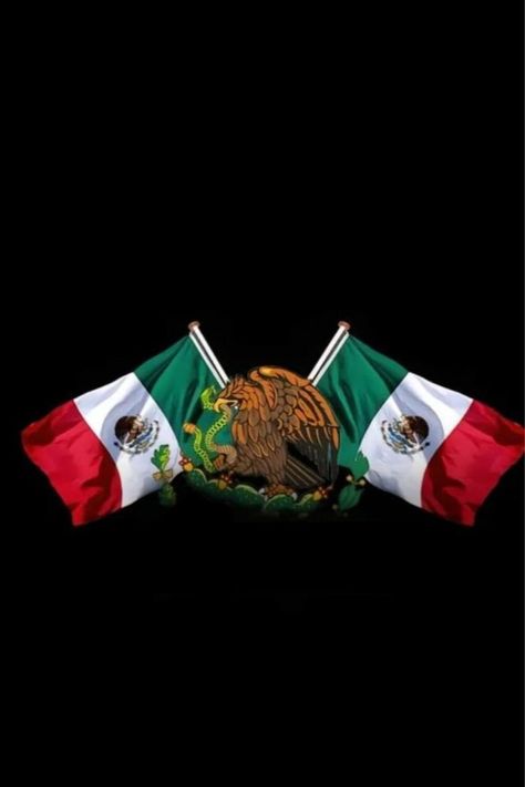 Hispanic Flags, Mexican Flag Eagle, Camoflauge Wallpaper, Mexico Eagle, Mexico Wallpaper, Mexican Pride, Women Models, Mexican Culture Art, Camaro Car