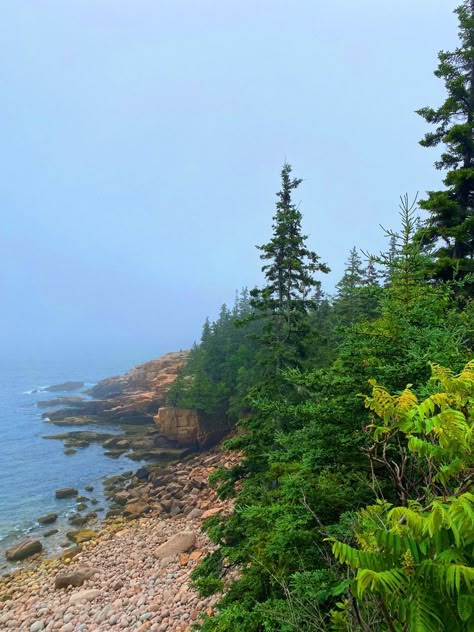 Maine Beach Aesthetic, Rocky Beach Aesthetic, Hiking In Maine, Maine Mountains, Maine Forest, Maine Beach, Coastal Maine Aesthetic, Rocky Beach, Maine Aesthetic