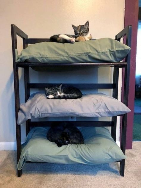 Cat Bunk Beds, Katt Grejer, Cat House Diy, Old Pillows, Hemma Diy, Cat Enclosure, Three Cats, Outdoor Cats, Best Cat