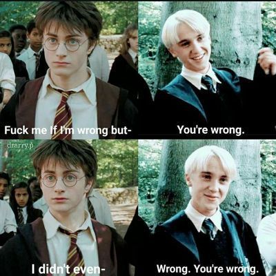 Draco X Harry, Harry Potter Parody, Drarry Fanart, Funny Harry Potter Jokes, Harry Draco, Harry Potter Memes Hilarious, Gay Harry Potter, Harry Potter Feels, Harry Potter Puns