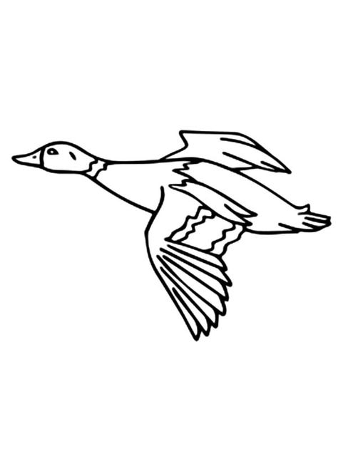 Duck Outline, Flying Bird Drawing, Duck Tattoos, Duck Drawing, Family Coloring Pages, Bird Migration, Bird Coloring Pages, Train Art, Online Coloring Pages