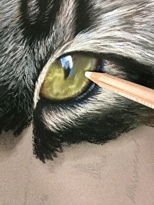 How to Paint Cat Eyes and Fur in Pastels Realistic Cat Drawing, Cat Eyes Drawing, Watercolour Tips, Colored Pencil Drawing Tutorial, Drawing Realism, Cat Behavior Facts, Painting Cats, Draw Cats, Paint Realistic