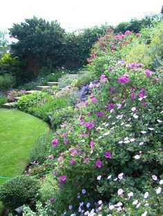 planting for a steep garden bank - Google Search Steep Hillside Landscaping, Backyard Hill Landscaping, Steep Gardens, Rockery Garden, Sloped Backyard Landscaping, Landscaping On A Hill, Hillside Garden, Tiered Garden, Hillside Landscaping