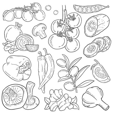 Premium Vector | Food and baverage doodle vector line art Vegetables Doodle Drawing, Line Art Food Illustration, Vegetable Line Drawing, Food Illustrations Vector, Food Doodle Art Illustrations, Grocery Drawing, Doodle Art Food, Snacks Drawing, Book Drawings