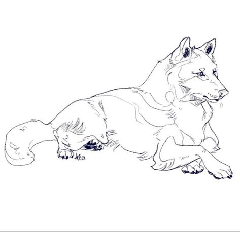 Dog Laying Down Drawing Reference, Wolf Laying Down Drawing, Canine Anatomy, Wolf Base, Animal Poses, Wolf Poses, Wolf Designs, Canine Drawing, Wolf Mask