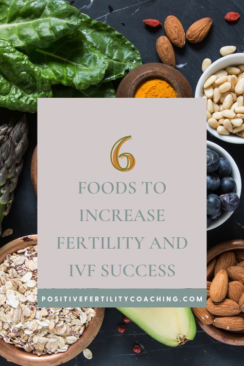 Research has shown that nutrition choices play a big part in improving your chances of getting pregnant and increasing IVF success. 

Here are 6 foods you can easily add to your diet that support fertility, fertility health, and your overall fertility/ IVF journey. Ivf Preparation, Ivf Diet, Increase Fertility, Ivf Journey, Egg Quality, Fertility Foods, Fertility Health, Ivf Success, Fertility Diet