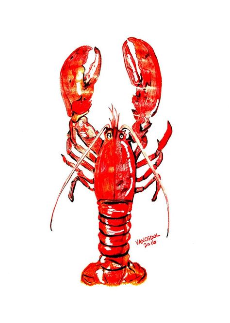 RED LOBSTER Colored Pencil Sketch Drawing Coastal Fine ART Print By Scott D Van Osdol Ocean Sea Food Marine Life Restaurant Business Decor Lobster Sketch, Seafood Art, Lobster Art, Food Watercolor, Food Tattoos, Color Pencil Sketch, Maine Art, Pencil Sketch Drawing, Abstract Art For Sale