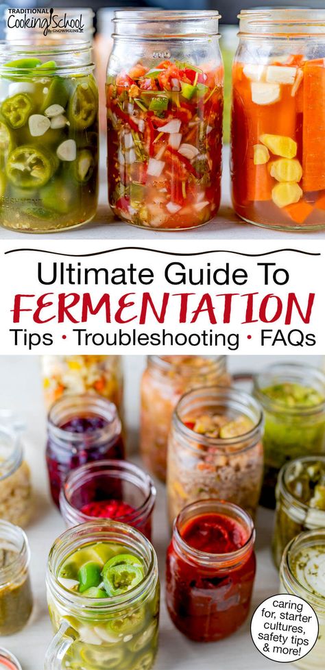 This ultimate guide to fermentation troubleshooting will answer all of your fermenting FAQs… including why your ferment isn't bubbling, what to do if your ferment is mushy or moldy, how to tell if your ferment is done, safety tips, and more. #fermentation #fermenting #troubleshooting #tips Fermenting Jar Recipes, Mason Jar Fermentation Recipes, Italian Limoncello Recipe, Fermenting Recipes, Fermentation Jar, Italian Limoncello, Fermented Recipes, Fermented Vegetables Recipes, Lacto Fermented