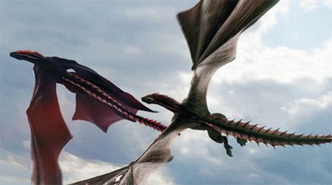 Dragon Daenerys GIF - Dragon Daenerys Targaryen - Discover & Share GIFs Drogon Game Of Thrones, Creature Fantasy, Game Of Thrones Dragons, Got Dragons, Game Of Thrones Funny, Gra O Tron, Game Of Thrones Art, Dragon Games, Game Of Thrones Houses