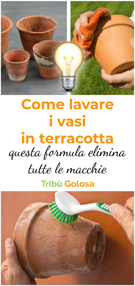 I vasi in terracotta sono utilizzati da migliaia di anni viste le loro caratteristiche. Nel tempo assorbono le sostanze chimiche che mettiamo nell'acqua, sporcandosi. Seguite queste istruzioni per lavarli e torneranno praticamente come nuovi Garden Works, Creative Gardening, Unique Gardens, Little Garden, Green Life, Green Cleaning, Small Gardens, Terracotta Pots, Vertical Garden