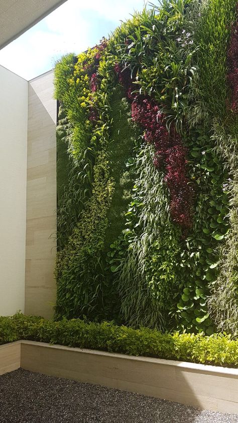 Green Wall Fence, Vertical Green Wall Outdoor, Vertical Garden Wall Outdoors, Living Walls Outdoor, Outdoor Living Wall, School Renovation, Living Wall Garden, Vertical Green Wall, Vertikal Garden