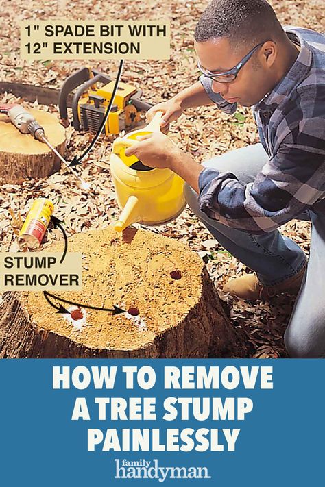 Tree Stump Killer, Kill Tree Stump, Tree Stumps Diy, Removing Tree Stumps, Tree Stump Removal, Getting Stuff Done, Stump Removal, Diy Handyman, Tree Removal