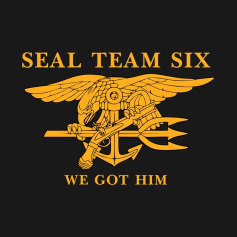 Seal Team Logo, Seal Team 6 Devgru, Seal Team, Seal Team 6, Us Navy Seals, Navy Veteran, Seal Logo, Best Sleeve Tattoos, Creativity Quotes