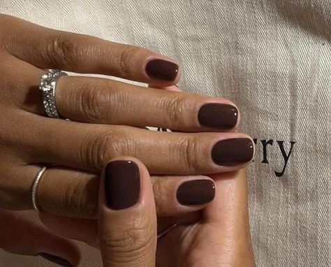 TOP 15 Old Money Nail Colors 2023 That Radiate Elegance Old Money Nails Ideas, Old Money Nails, Money Nails, Ombre Manicure, Pedicure Colors, Red Manicure, Summer Manicure, Rose Nails, Popular Nails