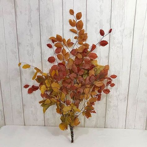 <p> Beech (Copper) Preserved 80cm wholesaled in single bunches.</p> Copper Beech Foliage, Tortworth Court, Dutch Flowers, Copper Beech, November Wedding, Florist Supplies, Florist Shop, Flowers Delivered, Wholesale Flowers