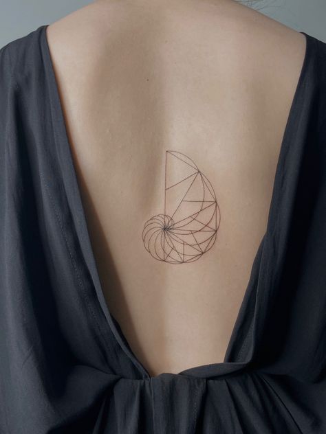 Shell Tattoo, Tattoo Linework, Shell Tattoos, Back Piece, Line Work Tattoo, Golden Ratio, Back Pieces, Minimalist Tattoo, Back Tattoo