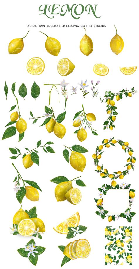 Lemon Flower Drawing, Lemon Flower Tattoo, Citrus Tattoo, Lemon Png, Lemon Drawing, Lemon Clipart, Lemon Wedding, Lemon Watercolor, Lemon Painting