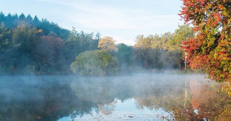 Crowded City, Colorful Flower Beds, Starved Rock State Park, Morton Arboretum, Morton Salt, Indiana Dunes, Kayak Trip, Urban Park, Go Hiking