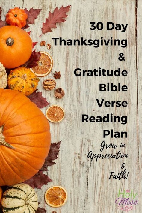 30 Day Thanksgiving and Gratitude Bible Verse Reading Plan #bibleverse #biblestudy At A Glance Planner, Childrens Ministry Curriculum, Thanksgiving Gratitude, Scripture Writing, Bible Reading Plan, Bible Reading, Fruit Of The Spirit, Reading Plan, Read Bible