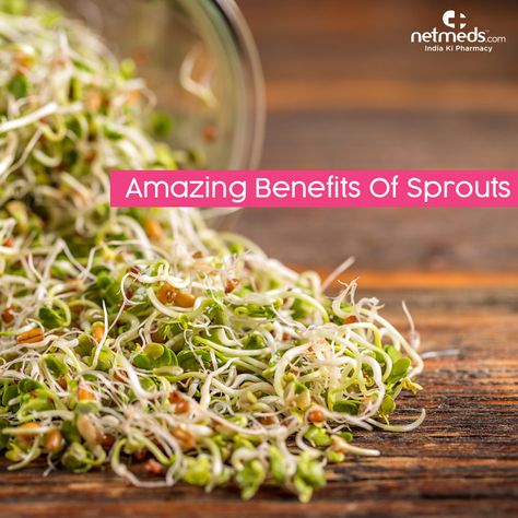 Amazing Benefits Of Sprouts Sprouts Nutritional Value, Bean Sprouts Benefits, Sprouts Benefits, Quick Fat Loss, Mediterranean Diet Meal Plan, Ideal Body Weight, Digestion Process, Fiber Rich Foods, Fat Foods