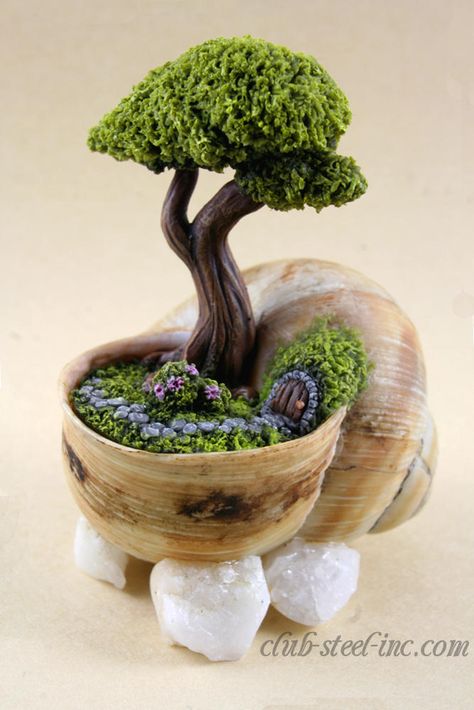 Fairy Garden Design Ideas, Apple Snail, Fairy Garden Designs, Design Cv, Faeries Gardens, Mini Fairy Garden, Diy Fairy, Fairy Garden Diy, Miniature Fairy