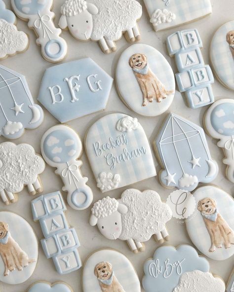 On cloud nine as they await the arrival of their sweet boy☁️🤍🍼 #cowtowncookieco #fortworthcookies #aledocookies #oncloud9… | Instagram Cloud Baby Shower Cookies, Blue Baby Shower Cookies, Cloud Nine Baby Shower Theme, Baby Shower Cookies Boy, Baby Shower Cookies For Boy, Baby Boy Shower Cookies, Boy Baby Shower Cookies, Baby Boy Cookies, Special Cookies