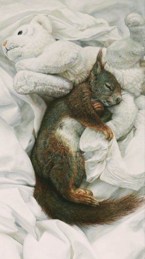 Squirrel Pictures, Sleeping Animals, Squirrel Funny, A Squirrel, Cute Squirrel, Baby Squirrel, Red Squirrel, Cute Animal Pictures, Cute Creatures