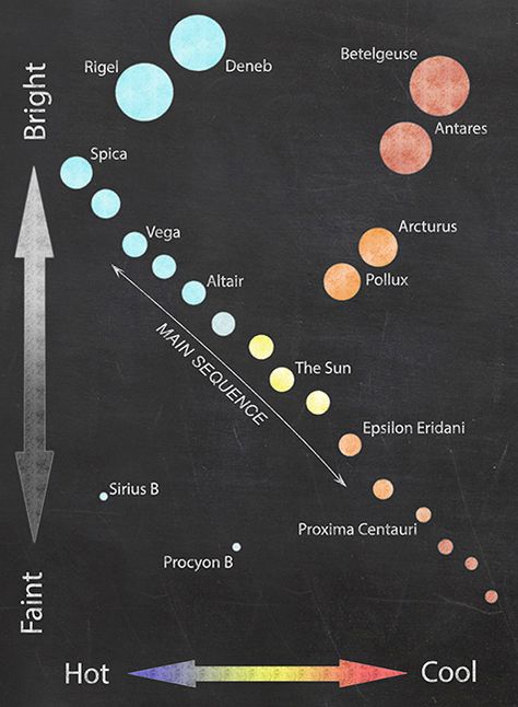 Stellar Evolution, Hr Diagram, Science Astronomy, Science Anchor Charts, Science Room, Astronomy Stars, Museum Education, Astronomy Facts, Astronomy Constellations