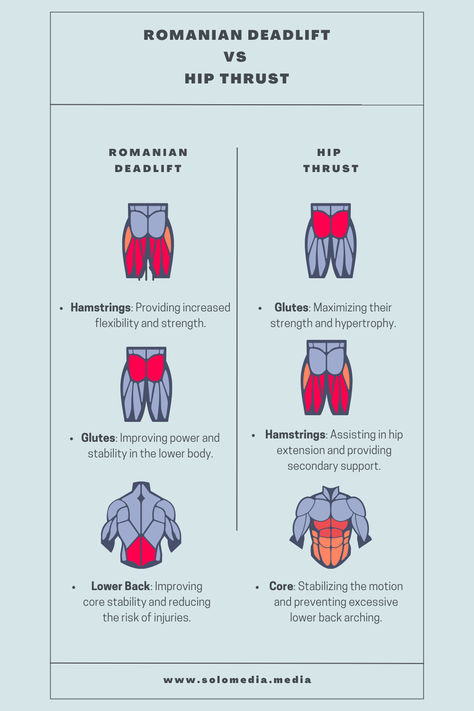 Romanian Deadlift vs. Hip Thrust: Which Exercise Is Better For You? 🏋️‍♂️ Dive into the benefits of each exercise to determine which is the ideal choice for your fitness goals. Learn how Romanian deadlifts and hip thrusts target different aspects of lower body strength and decide which can best enhance your workout routine! Romanian Deadlift, Lower Body Strength, Muscle Hypertrophy, Lower Body Muscles, Strength Training Routine, Hip Thrusts, Glute Activation, Core Stability, Body Strength