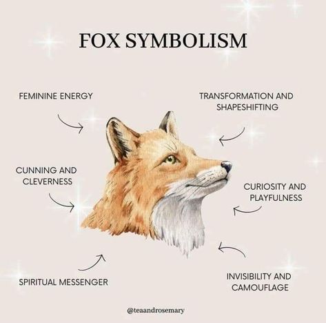 Fox Symbolism, Wicca Aesthetic, Aesthetic Magic, Animal Meanings, Chihiro Y Haku, Spell Work, Animal Spirit Guides, Witch Spirituality, Fox Spirit